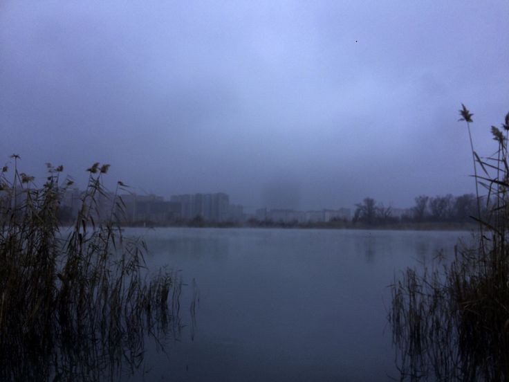 Create meme: morning fog , the reservoir in, pond 