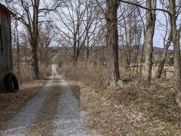 Создать мем: клепинино крым усадьба, дорога, липовый парк