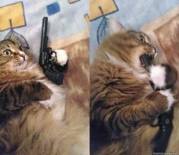 Создать мем: стреляй кот, кот, коты мемы с пистолетами