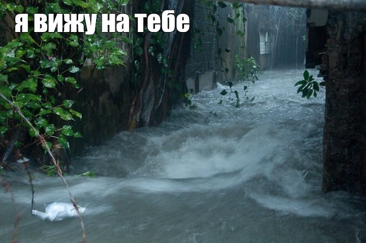 Create meme: rain , nature , gloomy paradise