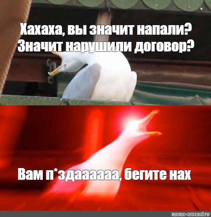 Что значит атаковать. Чайка Мем. Злая Чайка Мем. Глубокий вдох Мем. Мем Чайка нападает.