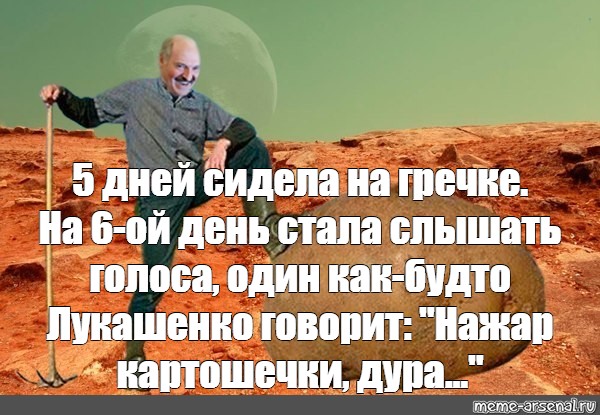 Сколько картохи можешь выкопать лукашенко картинка