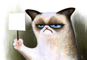 Create meme: grumpy, gloomy cat, unhappy cat