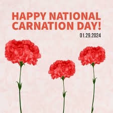 Create meme: red carnation dianthus, red carnation, red dianthus