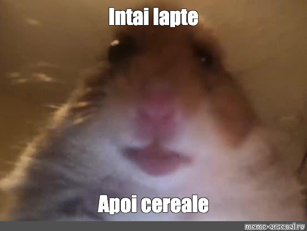 Create meme: null