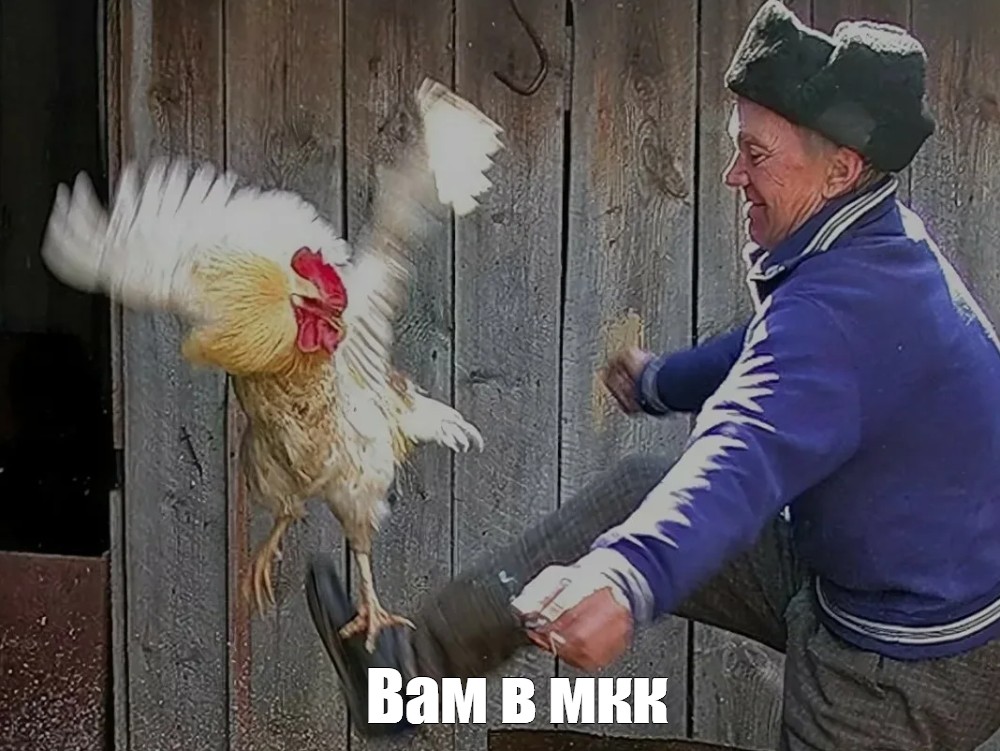 Мкк москвы все