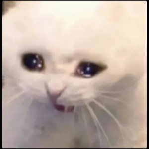 Создать мем: кот грустный, плачущая кошка, плачущий кот