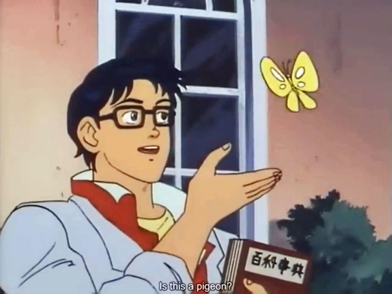 Create meme: people with butterfly meme, the guy with the butterfly meme, is this a pigeon anime