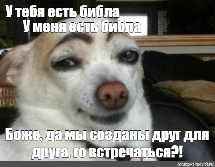 Meme У тебя есть библа У меня есть библа Боже да мы созданы друг для друга го встречаться 5446