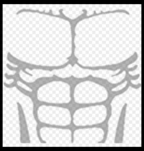 Create meme roblox t-shirt muscular, get the t-shirt muscles, roblox muscle  t-shirt png - Pictures 