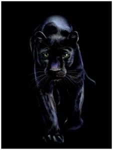 Создать мем: черный ягуар, k2 чёрная пантера, пантера картина