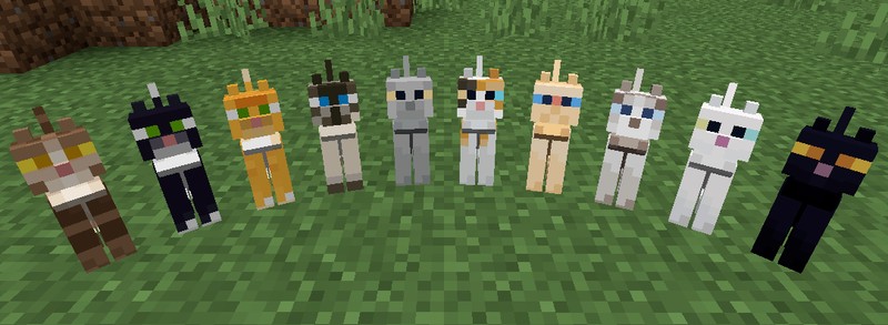 Create meme: a cat in Minecraft, minecraft cat, minecraft cat