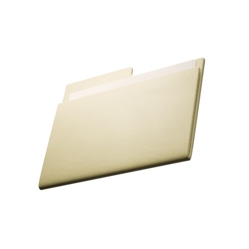 Create meme: folder , beige folder, manila folder