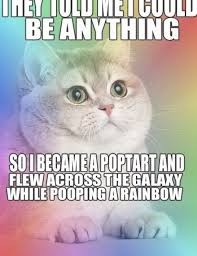 Create meme: people, cats, cat