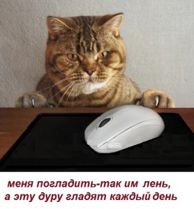 Создать мем: коты юмор, компьютерная мышь с компьютером, кот