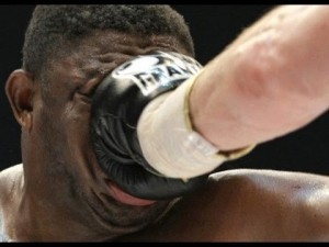 Create meme: American boxer, Boxing