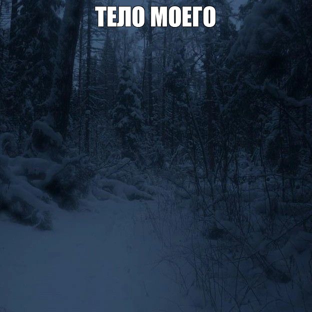 Create meme: dark forest in winter, Gloomy winter landscape, dark winter forest