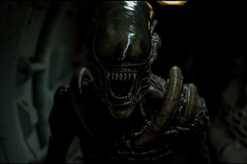 Create meme: alien vs predator , predator alien, xenomorph stranger