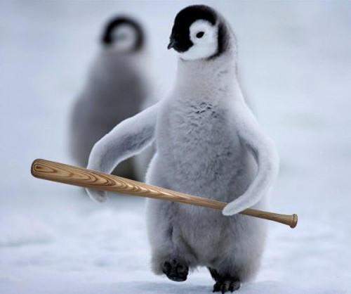 Create Meme Penguin Gopnik Penguin Gopnik Emperor Penguin