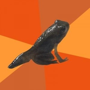Create meme: frog, Foul Adolescent Frog