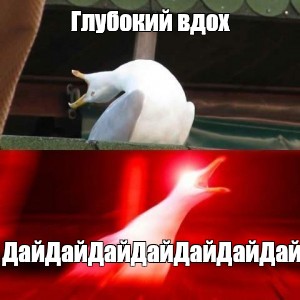 Создать мем: null