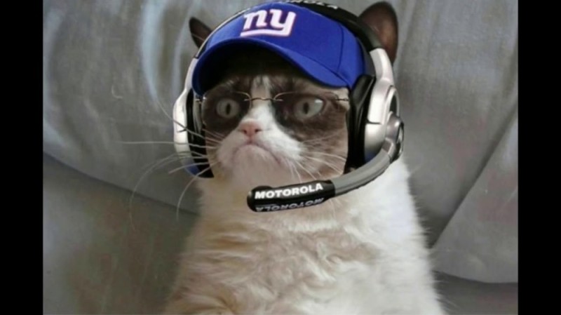 Create meme: cat with headphones, cat in headphones meme, a cat wearing headphones meme