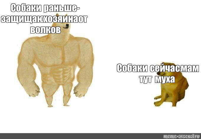 Держи собаку мем