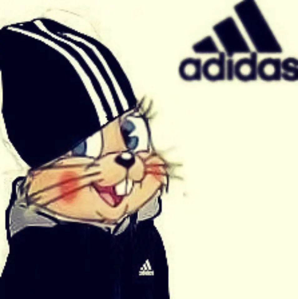 Adidas аватарка