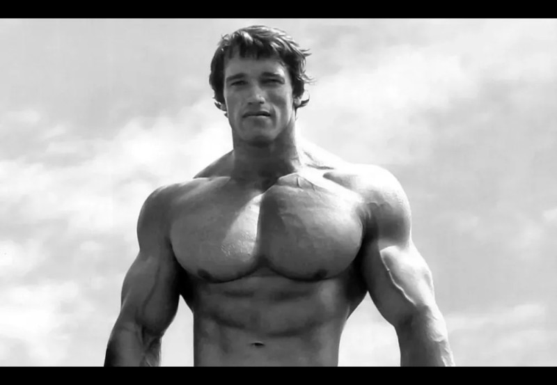 Create meme: Mr. Olympia Arnold Schwarzenegger, Arnold Schwarzenegger body, young Arnold Schwarzenegger