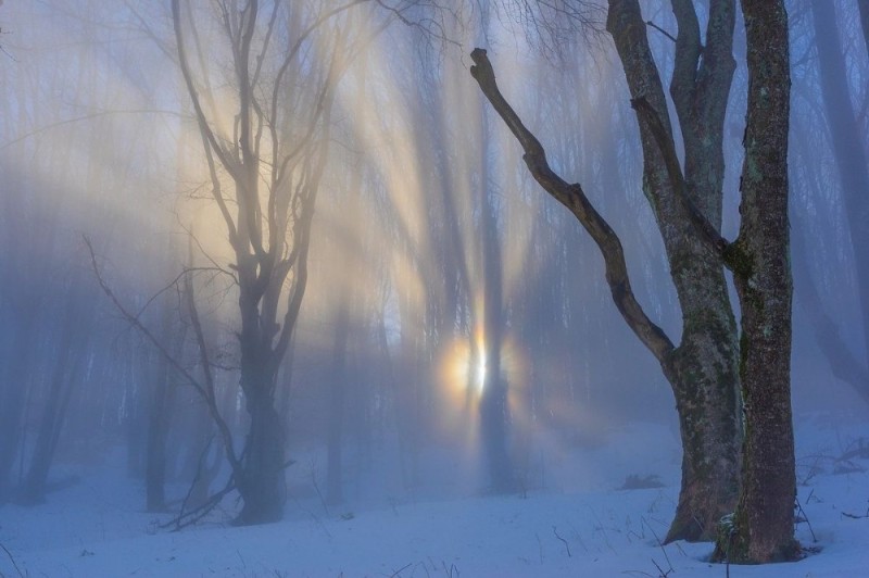 Create meme: mist nature, nature fog, landscape 