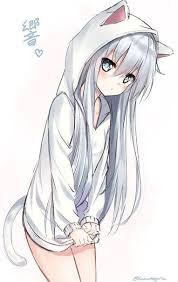 Create meme: anime neko, anime neko Chan in a hoodie, pictures anime avu Chan with ears