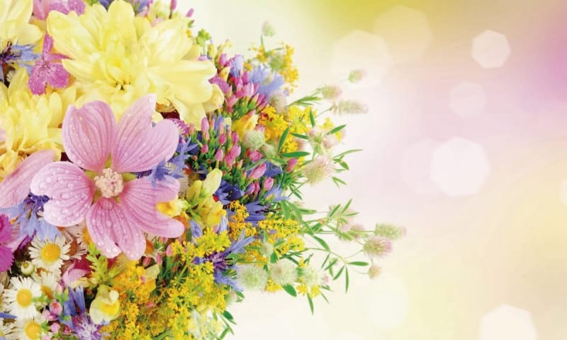 Create meme: background flowers, flower backgrounds, background with flowers