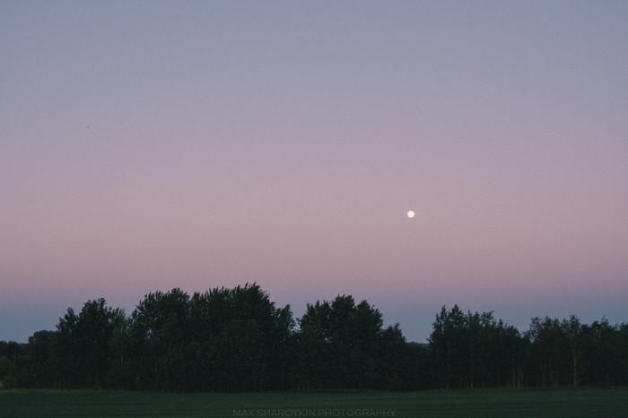 Create meme: summer sky, sky forest, summer sky