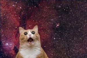 Create meme: cat in space meme, the cat on the background of the cosmos, cat space