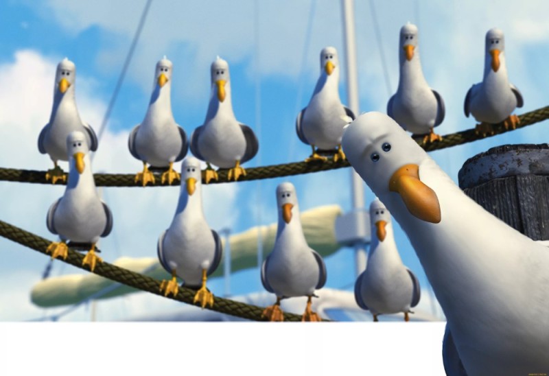 Create meme: gulls give, the Seagull from the movie, Give me some seagulls