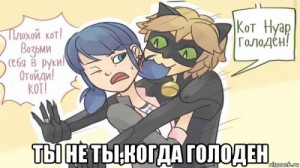 Создать мем: мари кот, кот глупый, miraculous ladybug