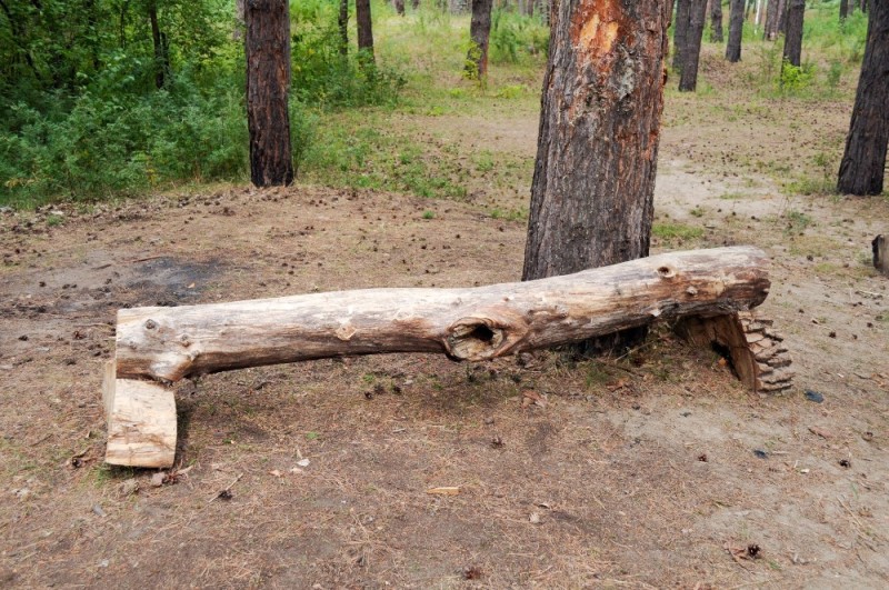 Create meme: a bench made of logs, a bench made of logs, a bench made of logs with your own hands