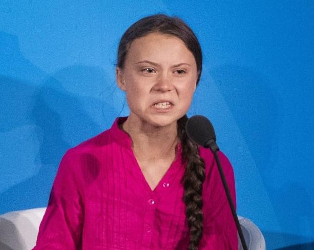 Create meme: greta thunberg memes, greta thunberg meme, Greta Thunberg