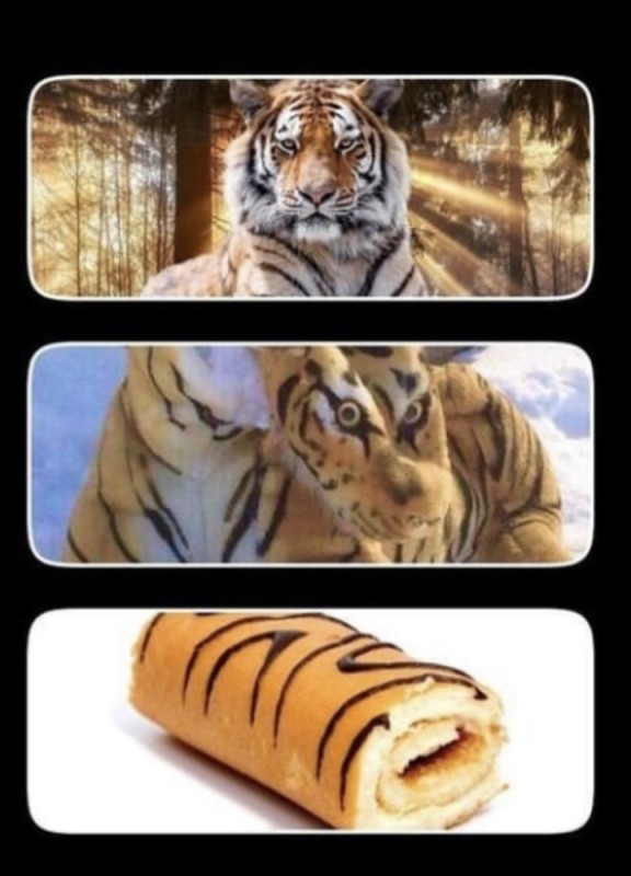 Create meme: tiger roll meme, tiger roll, a meme about a tiger and a roll