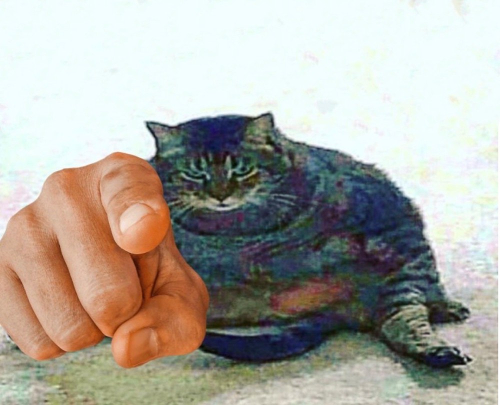 Кот показывает пальцем на тебя