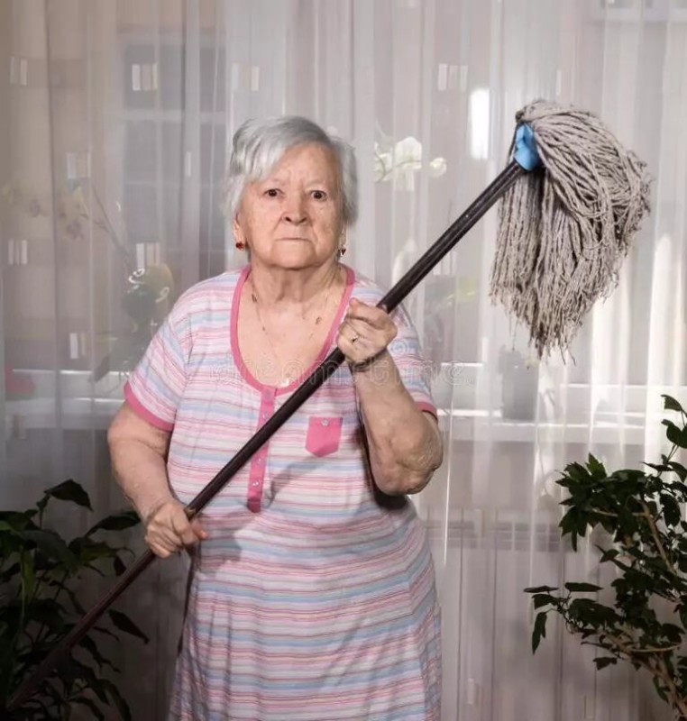 Create meme: granny with a mop, the mop is old, cleaning lady with a mop