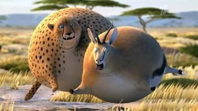 Create meme: round Safari - rollin-safari, animals cartoon, round animals