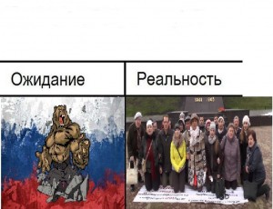 Create meme: the Russian bear