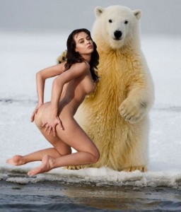 Создать мем: белый медведь, kutup ayısı, polar bear