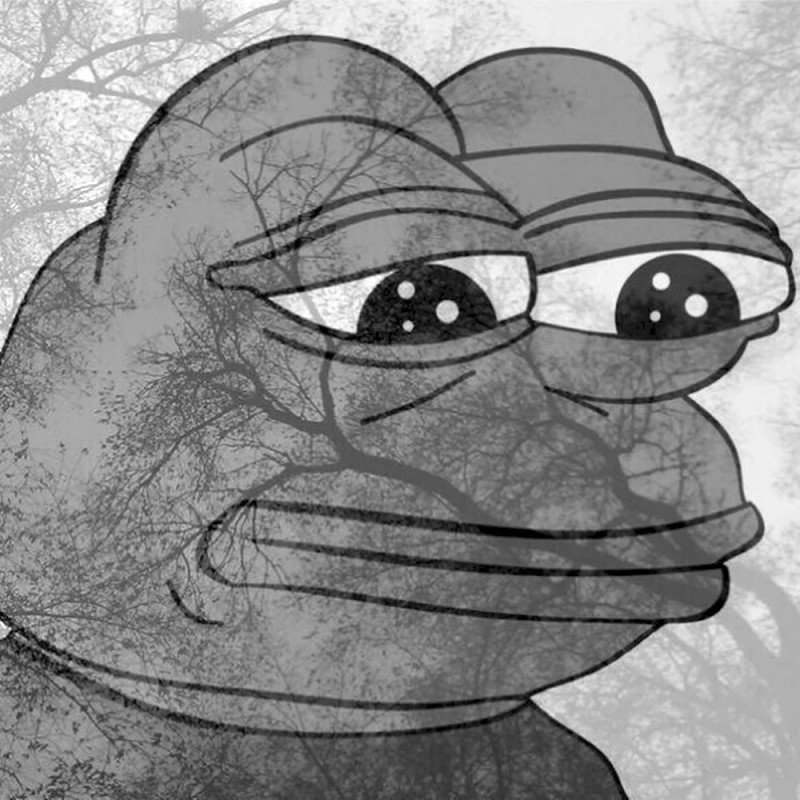 Create meme: frog meme , pepe sadness, Pepe sad