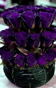 Create meme: rose purple violet, purple rose, blue roses bouquet