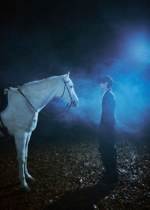 Create meme: Harry Potter Patronus, Patronus horse, The white ghost horse