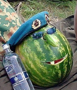 Create meme: watermelons