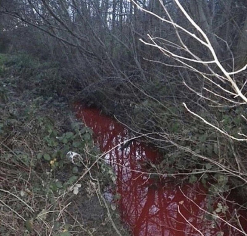 Create meme: blood river, red river, terrible place