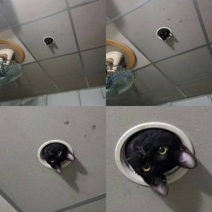 Create meme: the ceiling